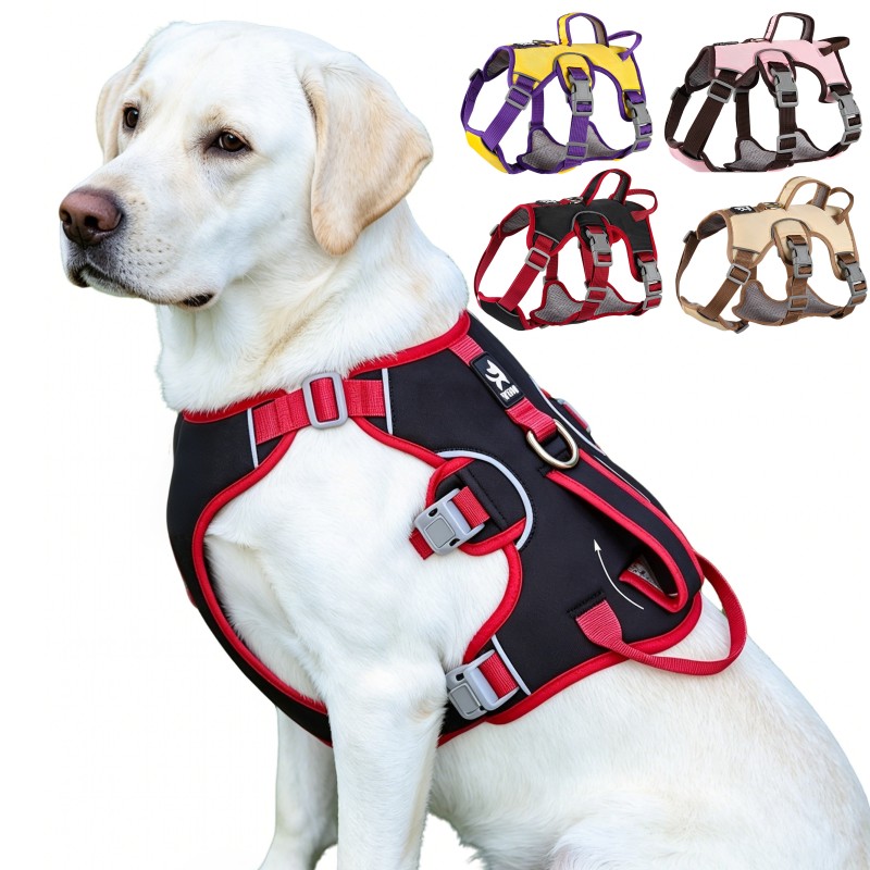 D Ring Strap - Çekişsiz Köpek Tasması Açık Hava Yürüyüşü